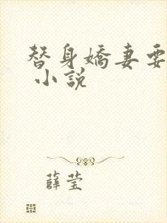 替身娇妻要离婚 小说