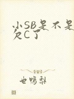 小SB是不是又欠C了