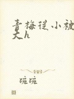 青梅从小被弄到大h