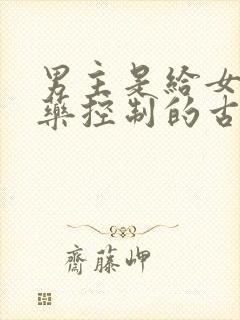 男主是给女主喂药控制的古言