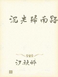 沉光归南路