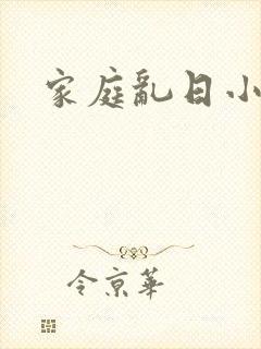 家庭乱日小说