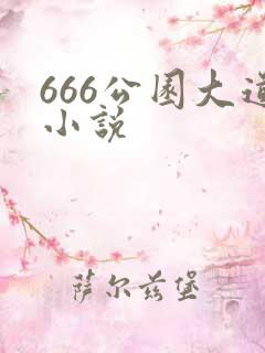 666公园大道小说