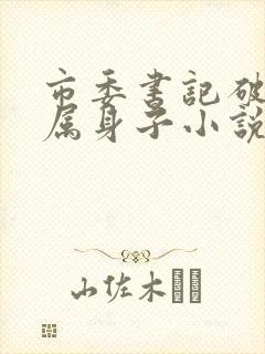 市委书记破女下属身子小说