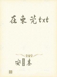 在东莞txt