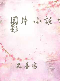 图片 小说 电影