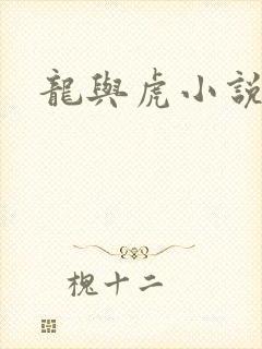 龙与虎小说