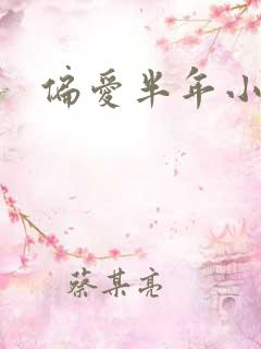 偏爱半年小说