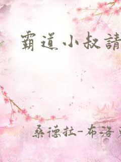 霸道小叔请轻撩