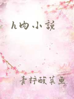 h肉小说