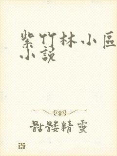 紫竹林小区快递小说