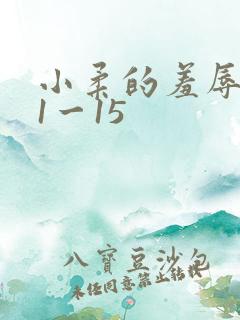 小柔的羞辱日记1一15