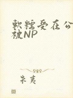 软糯受在公交车被NP