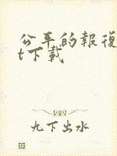 公平的报复txt下载