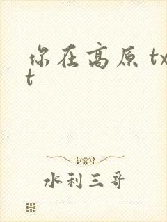 你在高原 txt