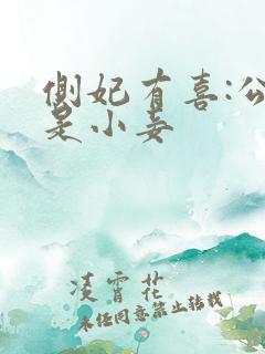 侧妃有喜:公主是小妾