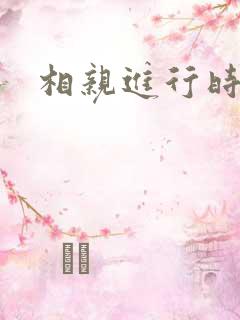 相亲进行时