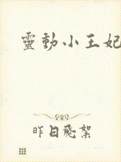 灵动小王妃
