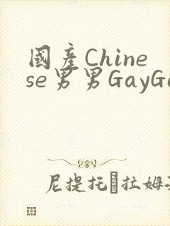 国产Chinese男男GayGayAPP