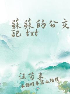 苏苏的公交车日记 txt