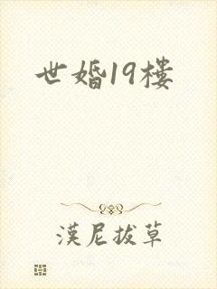 世婚19楼