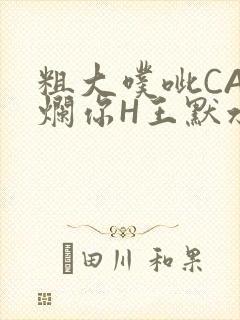 粗大噗呲CAO烂你H王默水王子