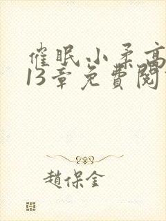 催眠小柔高达第13章免费阅读