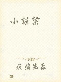 小说禁