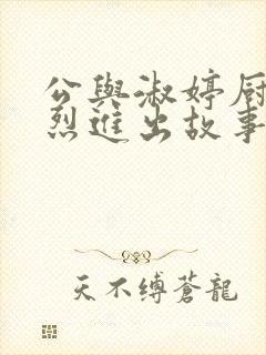 公与淑婷厨房猛烈进出故事