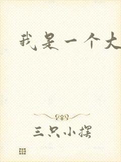 我是一个大盗贼