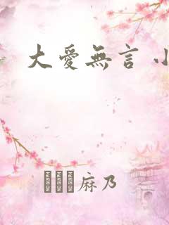 大爱无言 小说