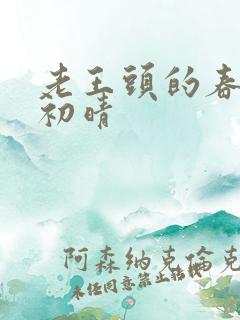 老王头的春天林初晴