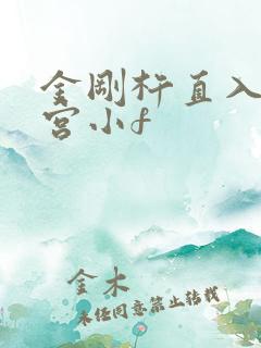 金刚杵直入莲花宫小f