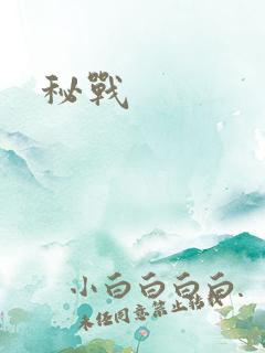 秘战