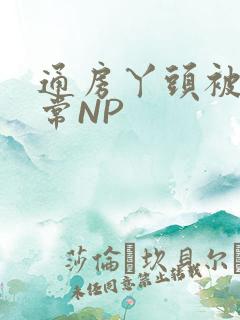 通房丫头被肉日常NP