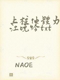 上校他体力太好江晚吟txt