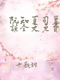 阮知夏司暮寒小说全文免费