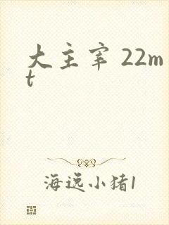 大主宰 22mt