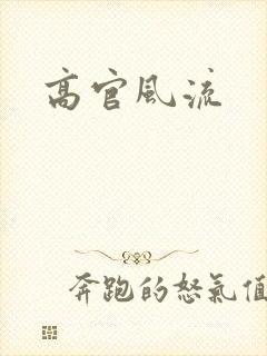 高官风流