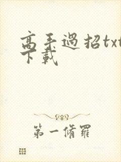 高手过招txt下载