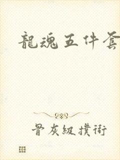 龙魂五件套