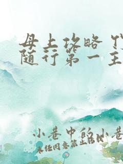 母上攻略 竹影随行第一主板