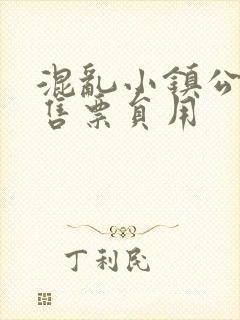 混乱小镇公交车售票员用