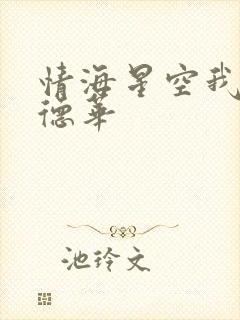 情海星空我与刘德华