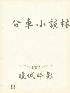 公车小说林蔓蔓
