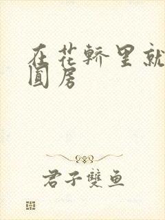 在花轿里就开始圆房