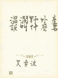 温澜野外产子小说叫什么名字