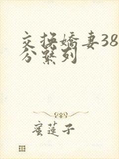 交换娇妻38部分系列