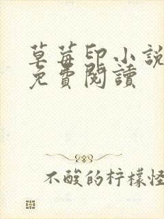 草莓印小说全本免费阅读