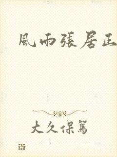 风雨张居正下载